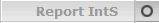 Report IntS